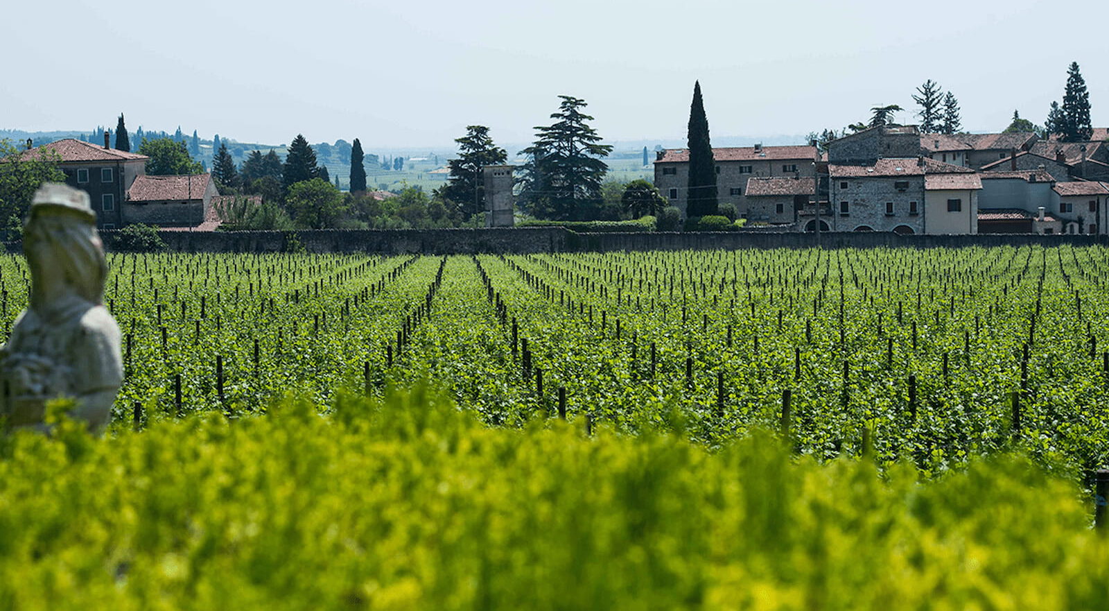 Wedding in Valpolicella, Villa Winery Serego Alighieri